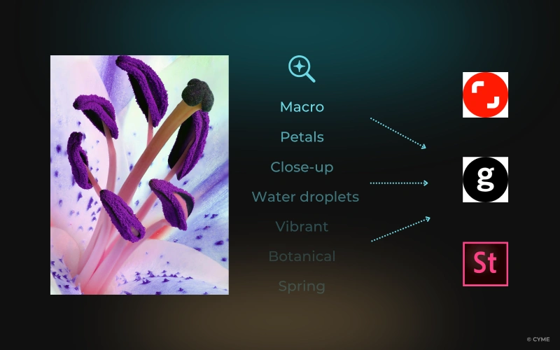 Macro photo of flower petals with AI tagging with keywords like macro, close-up, vibrant, linked to stock photographers.