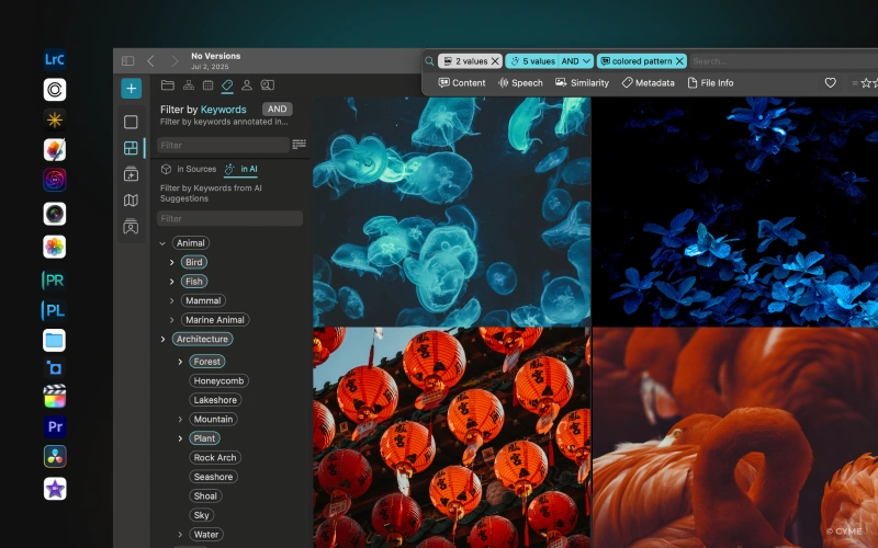 Peakto software interface showing smart keyword filtering like animal, architecture, plant alongside photos of jellyfish, lanterns, and flowers.