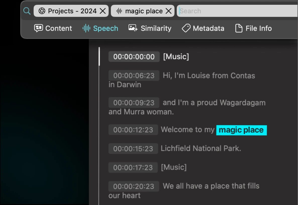 Audio-Transcript in Peakto - 01