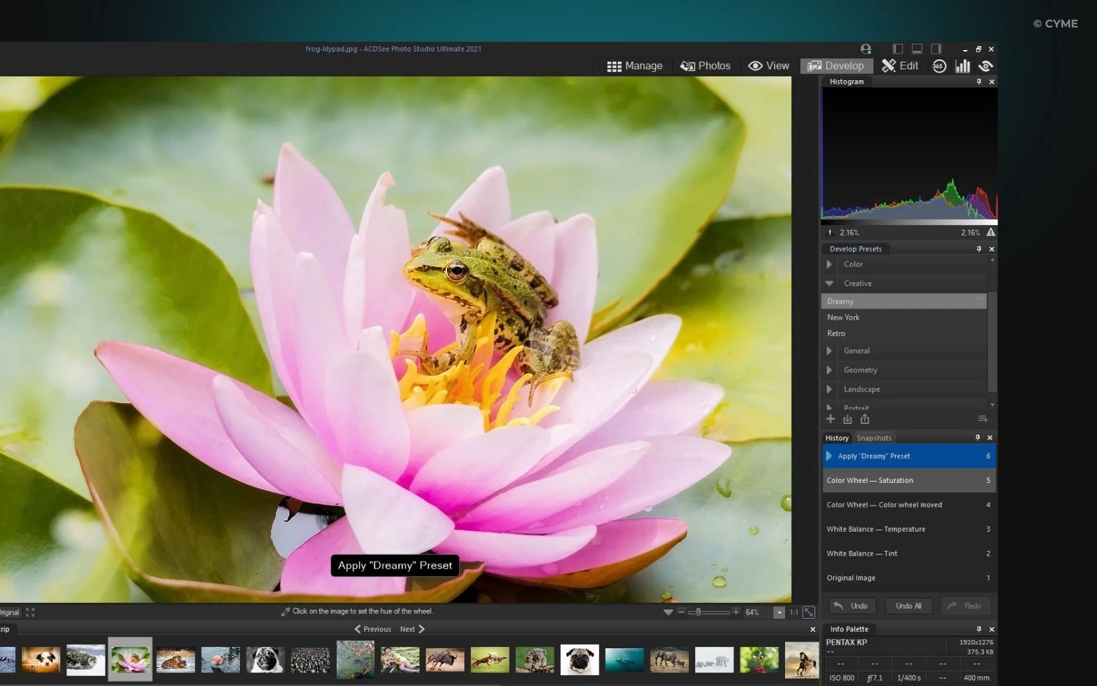 Best Photo and Video Organizing Software - 09