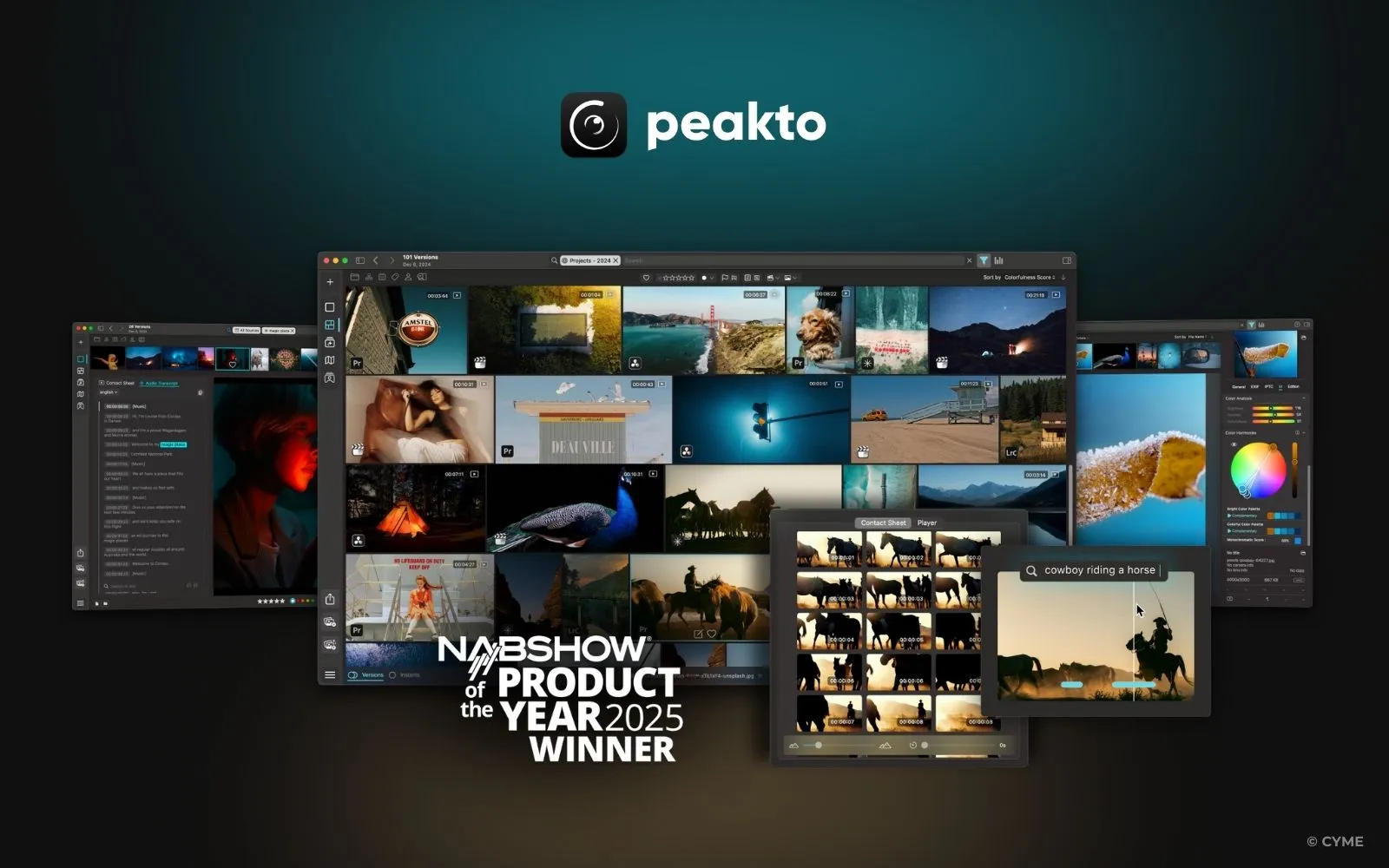 Best Digital Asset Management Software - 03