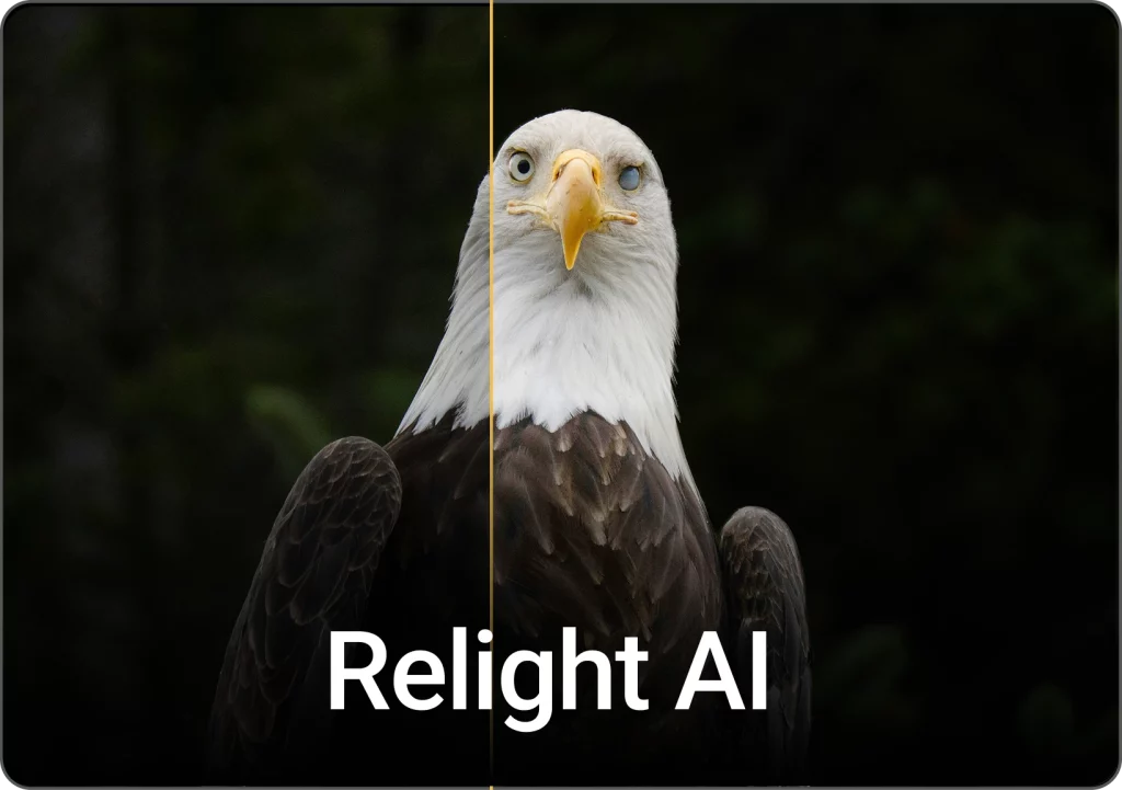 Luminar Neo - Relight AI
