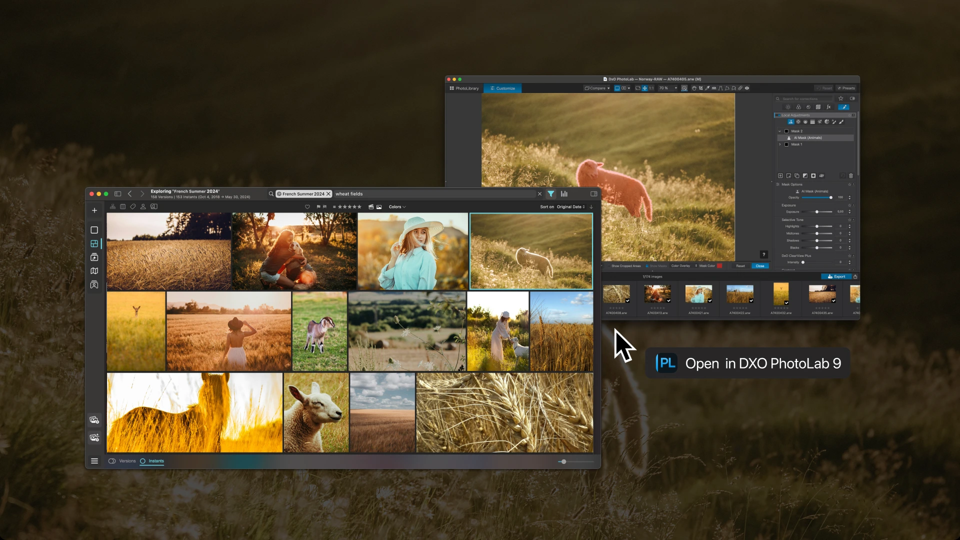 Peakto est maintenant compatible avec DxO PhotoLab 9 - 00