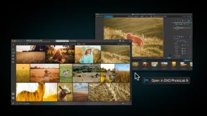 Peakto offers day-one compatibility with DxO PhotoLab 9 - 00