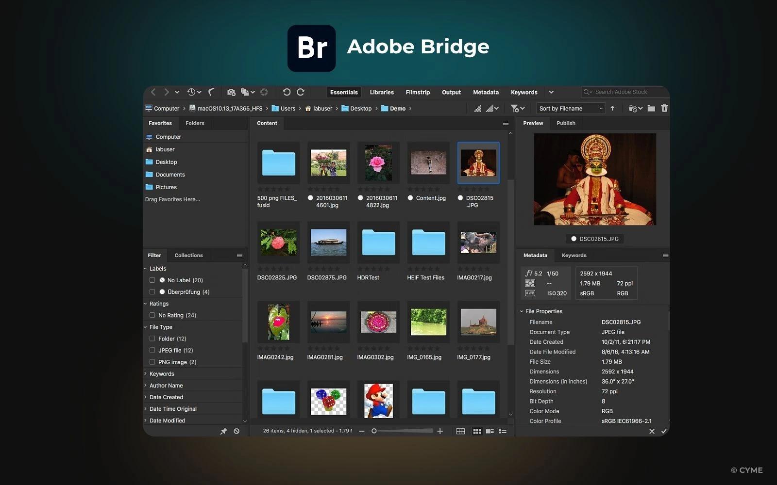Top des alternatives à Mylio Photos pour la gestion de vos images - 02