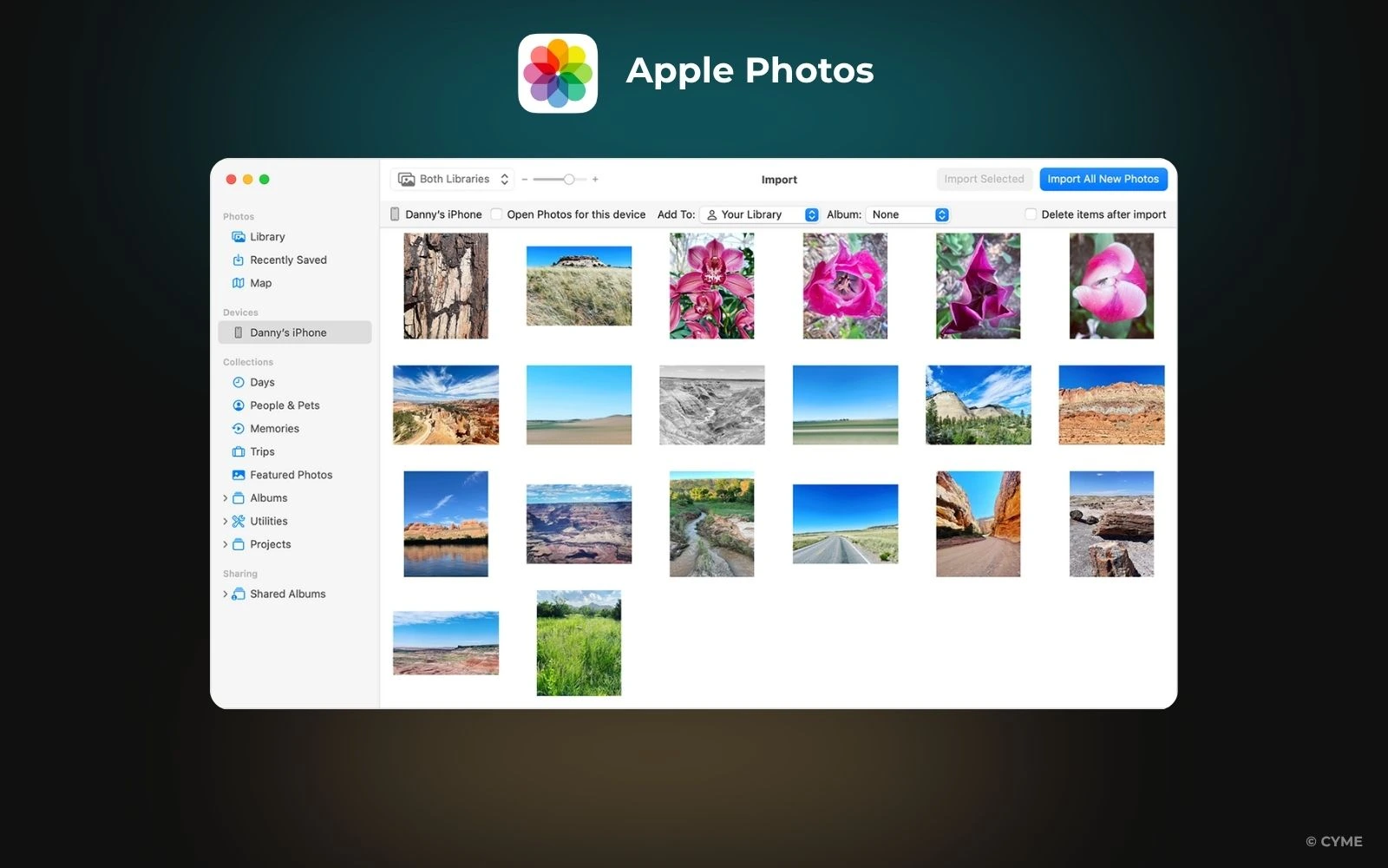Top des alternatives à Mylio Photos pour la gestion de vos images - 04