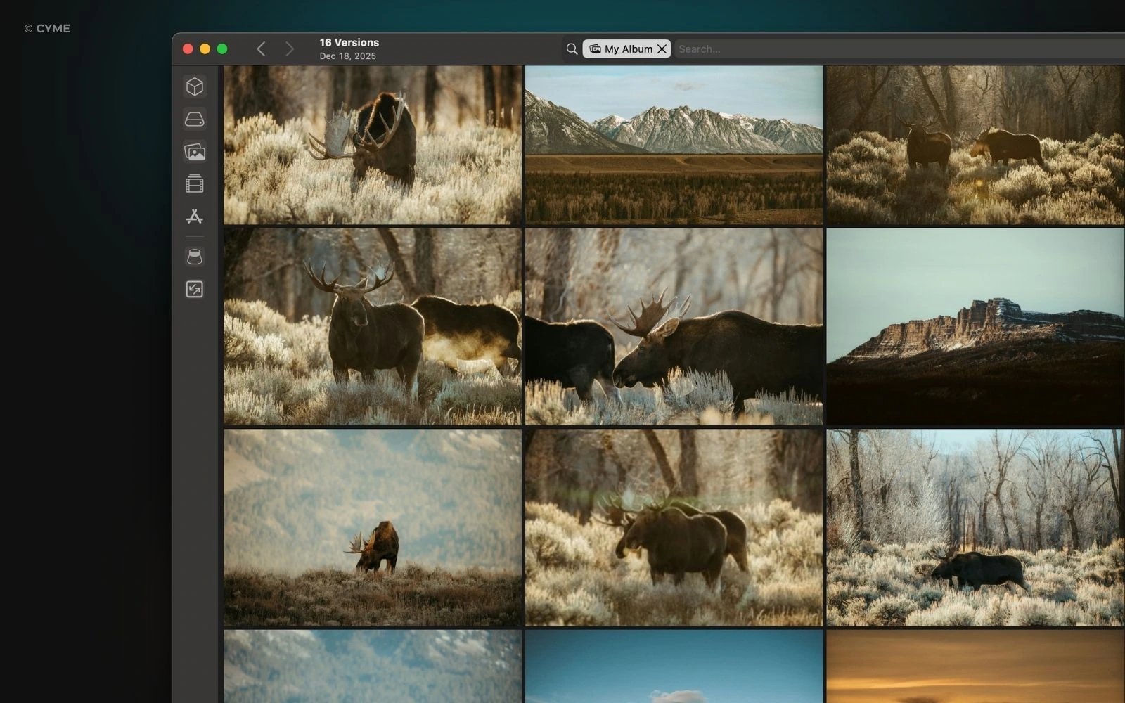 Comment sélectionner vos meilleures photos pour un portfolio - 01