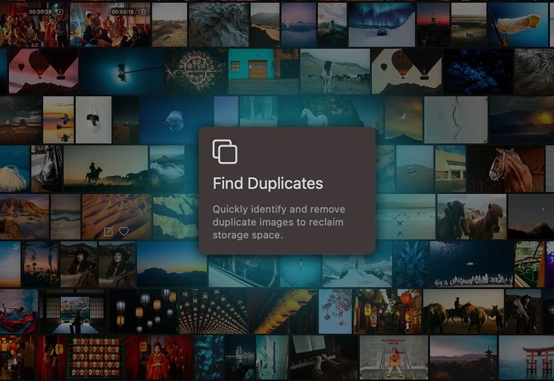 Find Duplicate Photos Across Your Entire Library - 02