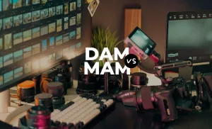 DAM vs MAM - quelles différences - 00