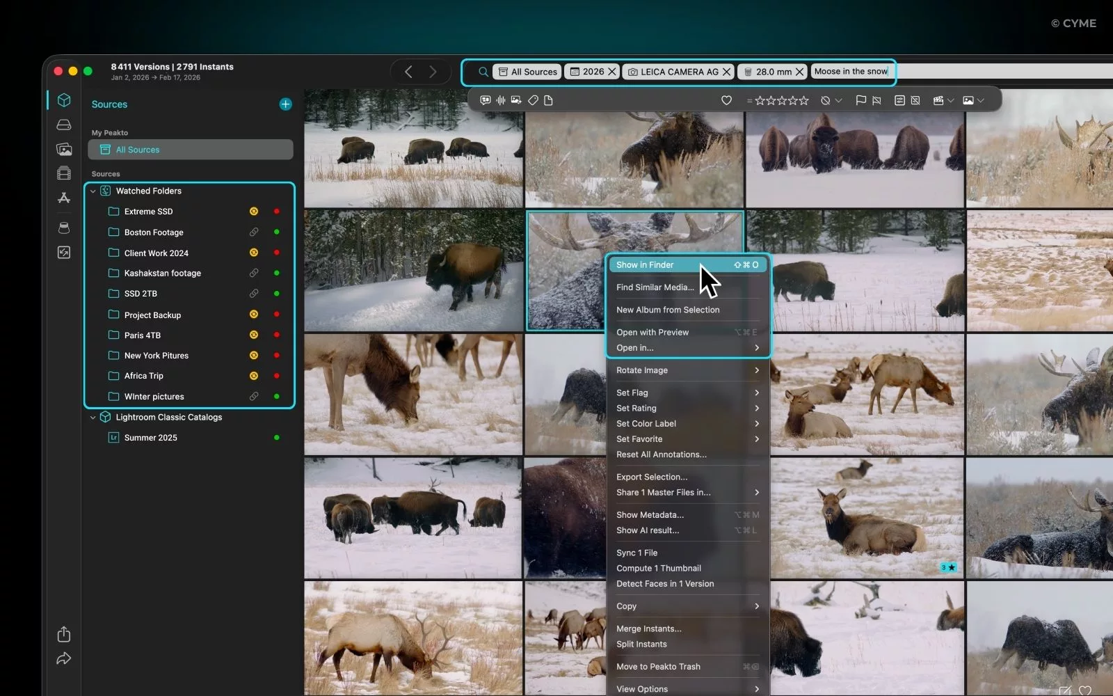 DAM vs MAM - What’s the Difference - 04