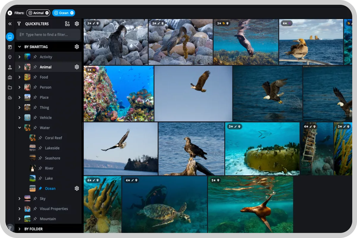 Peakto vs. Mylio - 02