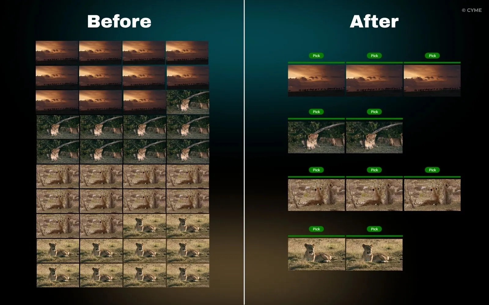 Photo Culling vs. Photo Editing - Why Culling Comes First - 02