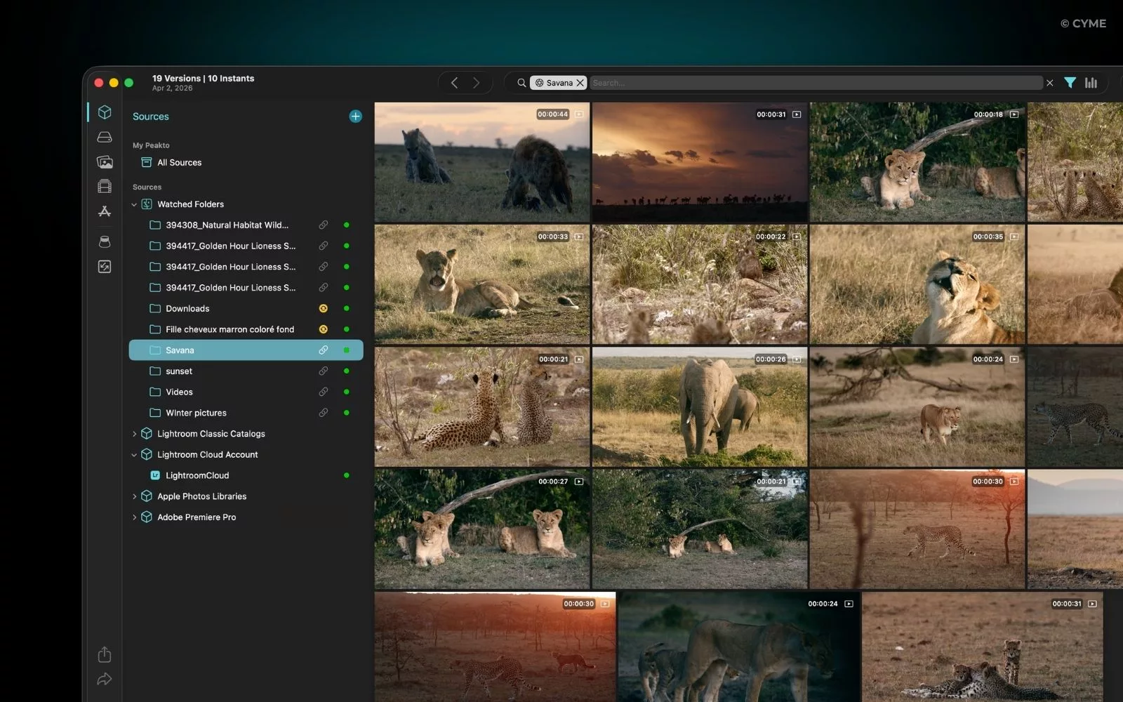 Best Video Organizer Software in 2026 (Mac and Windows) - 02