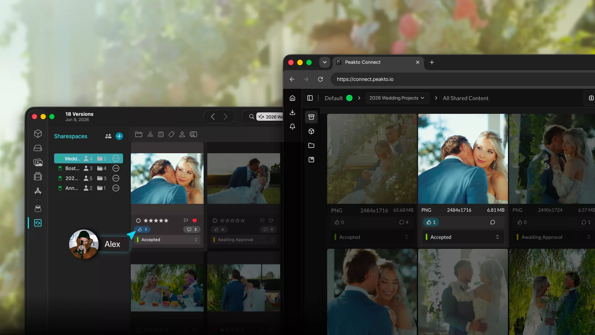 Comment combiner Narrative et Peakto dans votre workflow - 02